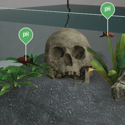 Aquarium Designer - Aquarium nouvellement fait