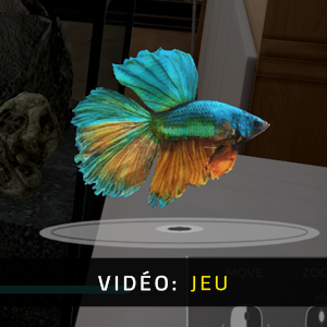 Aquarium Designer - Vidéo de jeu