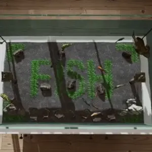 Aquarium in Cafe – Aquarium