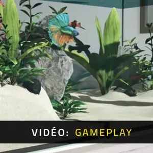 Aquarium in Cafe – Gameplay