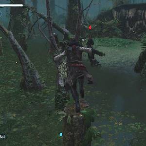 Assassin's Creed Liberation HD - Protéger le Radeau