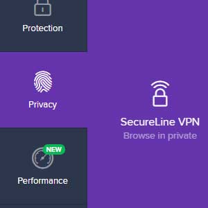 Avast Internet Security Global License - Vie privée
