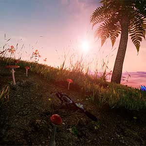 AWAY The Survival Series Champignons