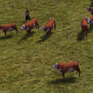 Banished - Vaches