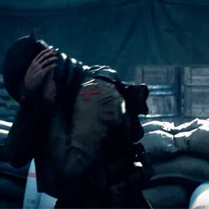 Fighting on an entire front of the Great War