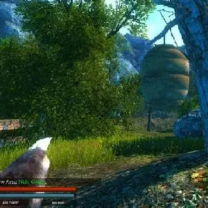 Bear Simulator - Ruche