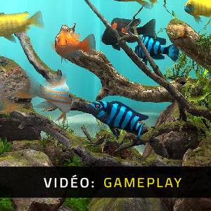 Behind Glass: Aquarium Simulator - Vidéo de Gameplay