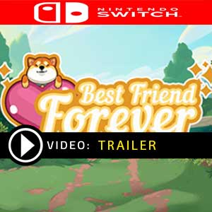 Acheter Best Friend Forever Nintendo Switch comparateur prix