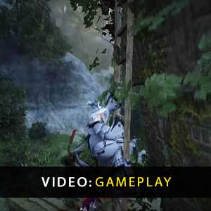 Black Desert Online Gameplay Video