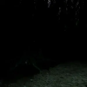 Blood Hunting - Grotte