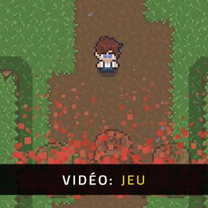 Book Quest - Vidéo de jeu