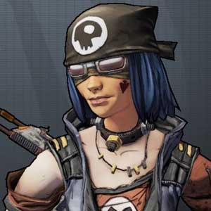 Borderlands 2 DLC Torgue's Campaign of carnage - Mechromancer