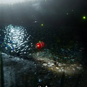 Bottle Can Float - Canette de cola