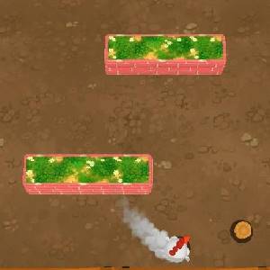 Bouncy Chicken - Course