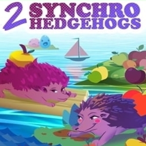 Acheter 2 Synchro Hedgehogs Clé CD Comparateur Prix