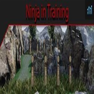 A Ninja in Traning Pc