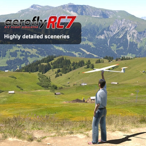 aerofly RC 7 Professional Edition Pc