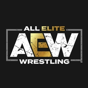 AEW All Elite Wrestling Pc