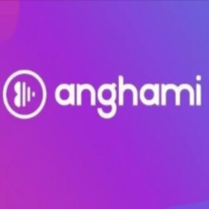 Carte Cadeau Anghami Plus Gift Card Comparer les Prix