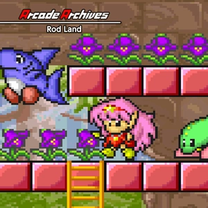 Arcade Archives Rod Land Switch