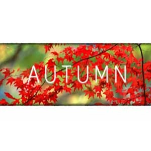 Autumn Pc