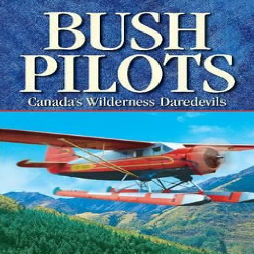 Acheter Aviator Bush Pilot Clé Cd Comparateur Prix