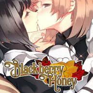 Acheter Blackberry Honey Clé CD Comparateur Prix