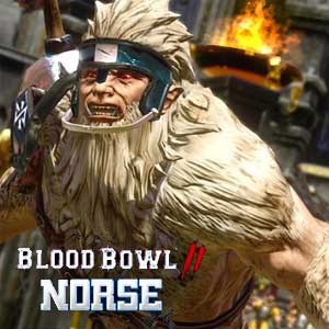 Acheter Blood Bowl 2 Norse Clé Cd Comparateur Prix