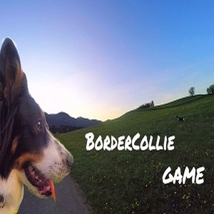 BorderCollie Pc