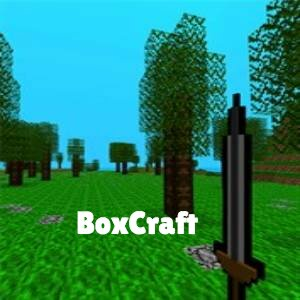BoxCraft Pc