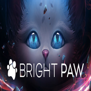 Acheter Bright Paw Clé CD Comparateur Prix