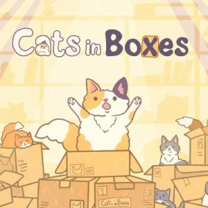 Cats in Boxes Pc