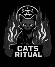 Acheter Cats Ritual PS5 Comparateur Prix