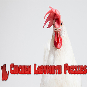 Acheter Chicken Labyrinth Puzzles Clé CD Comparateur Prix
