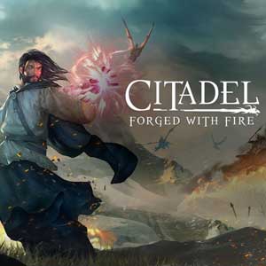 Acheter Citadel Forged with Fire Clé CD Comparateur Prix