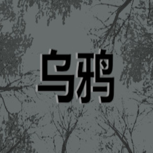 Acheter Crows Clé CD Comparateur Prix