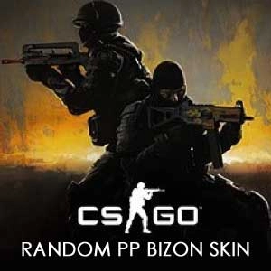 CSGO Random PP Bizon Skin