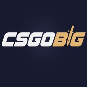 Carte Cadeau CSGOBIG Gift Card Comparer les Prix