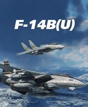 DCS: F-14B(U) by Heatblur Simulations Pc