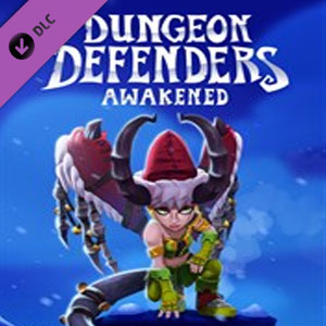 Acheter Dungeon Defenders Awakened Winter Defenderland Xbox Series Comparateur Prix