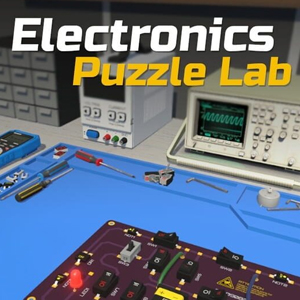 Electronics Puzzle Lab Switch