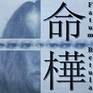 Acheter Fatum Betula Xbox Series Comparateur Prix