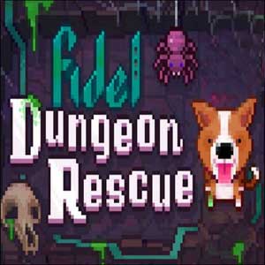 Acheter Fidel Dungeon Rescue Clé CD Comparateur Prix