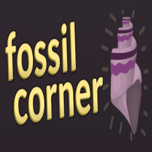 Acheter Fossil Corner Clé CD Comparateur Prix