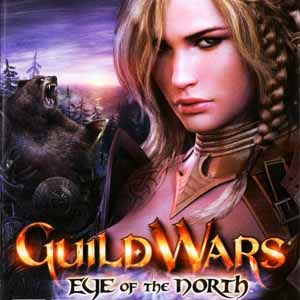 Acheter Guild Wars Eye Of The North Clé Cd Comparateur Prix
