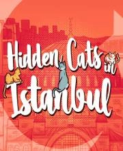 Hidden Cats in Istanbul Playstation 4