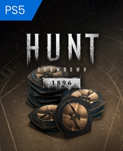 Acheter Hunt Showdown 1896 Blood Bonds PS5 Comparateur Prix
