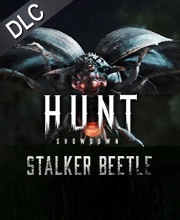 Hunt Showdown Stalker Beetle Pc