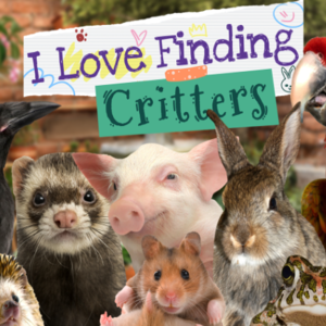 Acheter I Love Finding Critters Clé CD Comparateur Prix