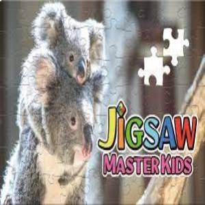 JIGSAW MASTER KIDS Switch